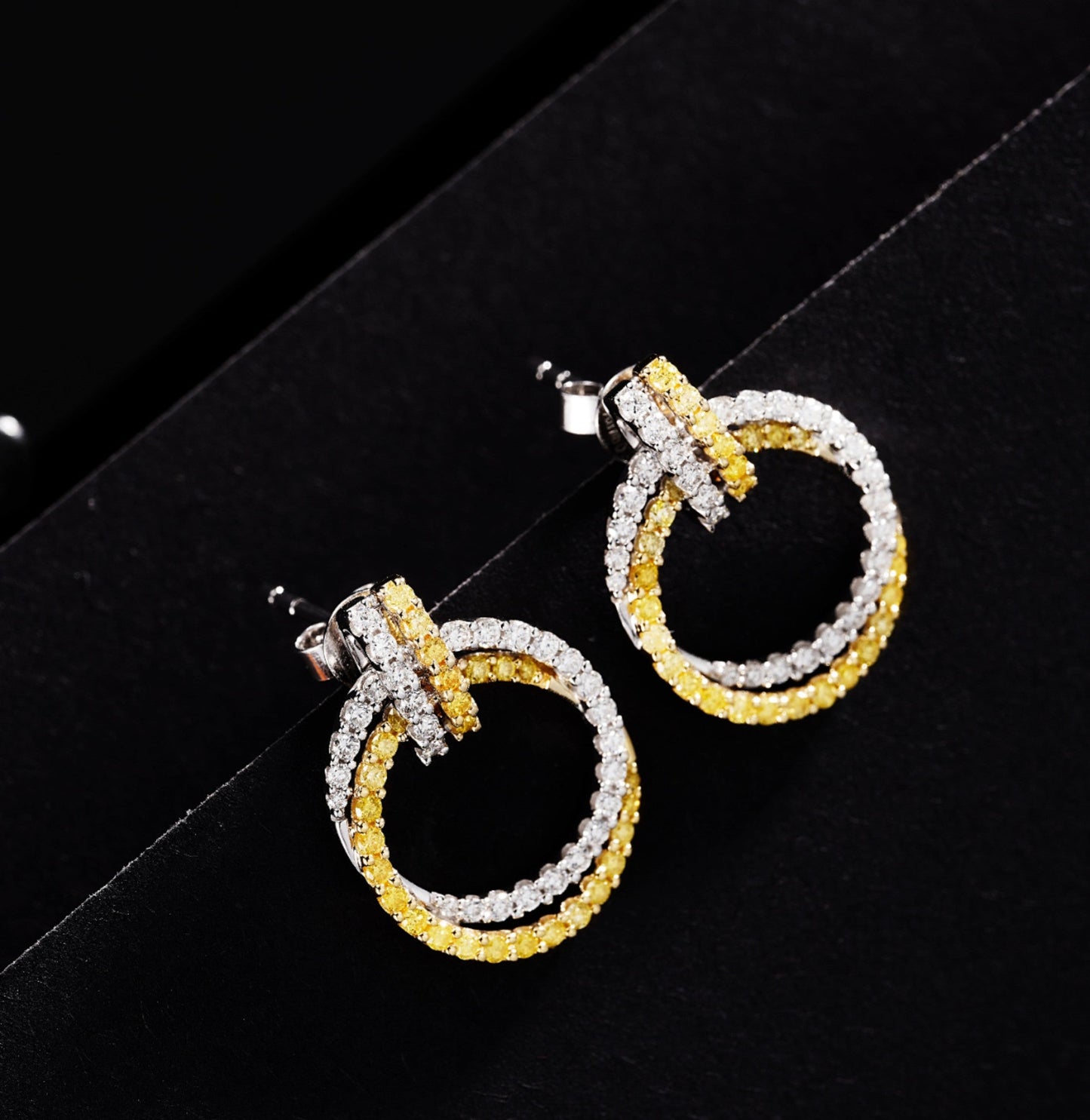 Luxurious Diamond Double-Loop Circle Earrings - Premium Jewelry Jeweler.Jewelry